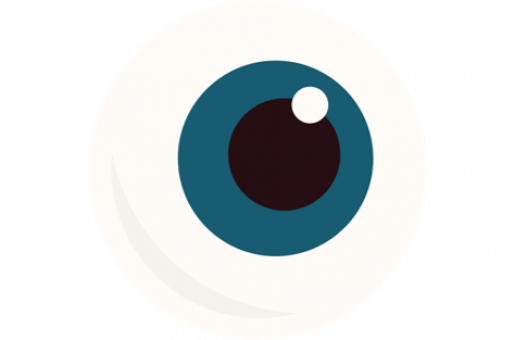 Augapfel