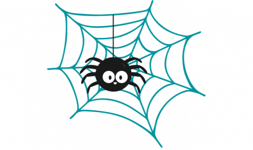 Spinne