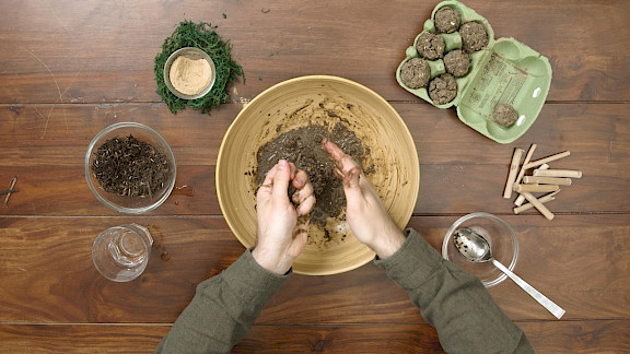 Seedbombs selber machen