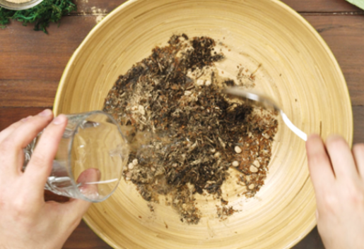 Schritt 3: Seedbombs selber machen