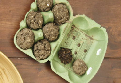 Schritt 5: Seedbombs selber machen