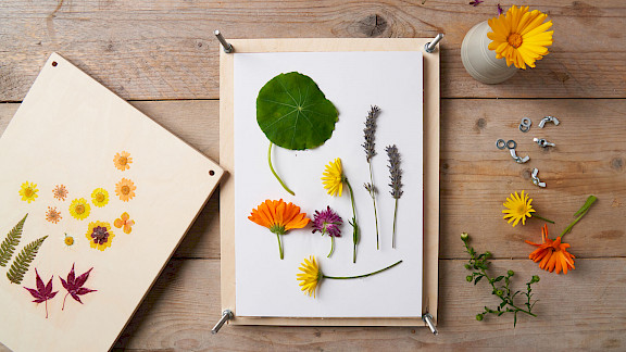 Blumenpresse basteln für Kinder