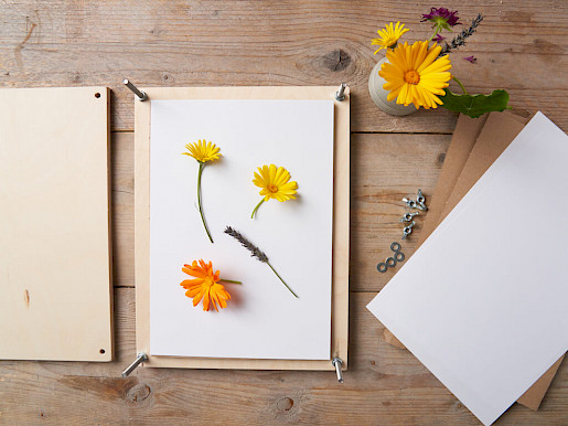 Schritt 3: Blüten in die Presse legen