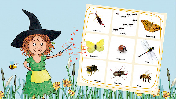 Insektenbingo